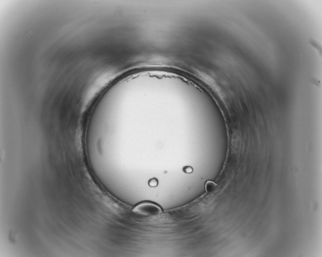 X0000093391464200710251230