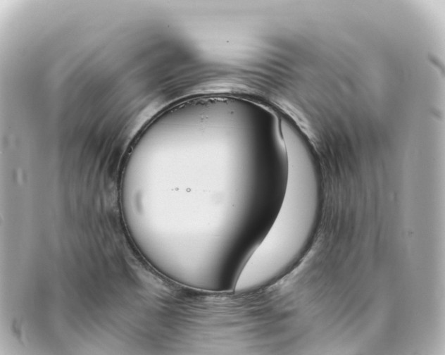 X0000093391465200710251230