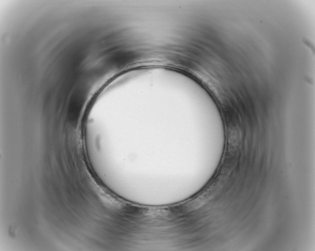 X0000093391466200710251230