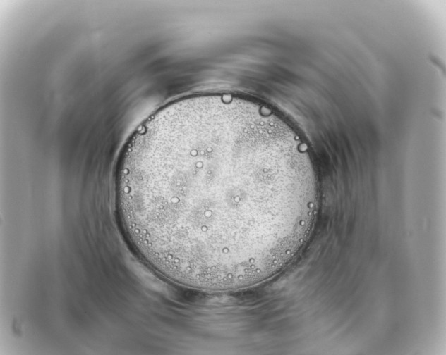 X0000093391467200710251230