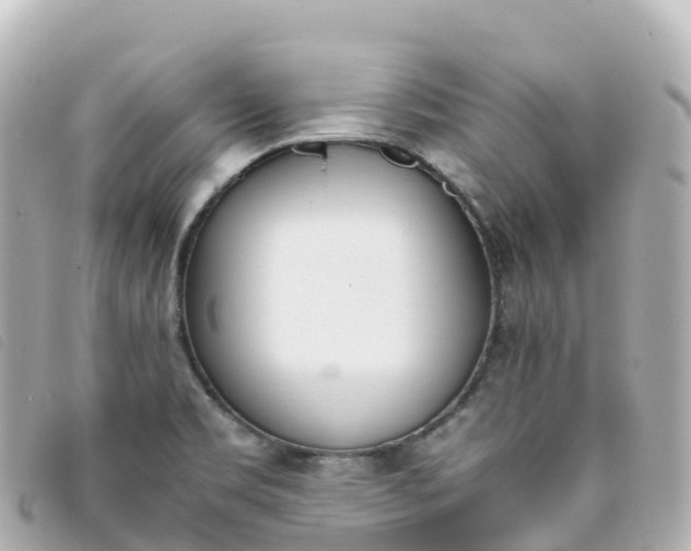 X0000093391469200710251230