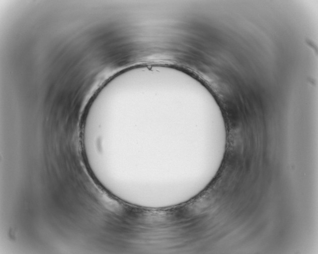 X0000093391470200710251230