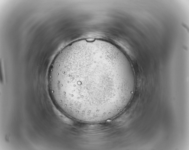 X0000093391471200710251230