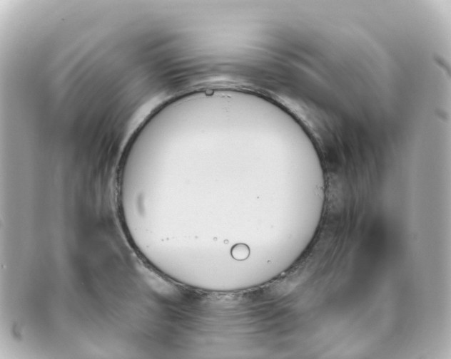 X0000093391474200710251229