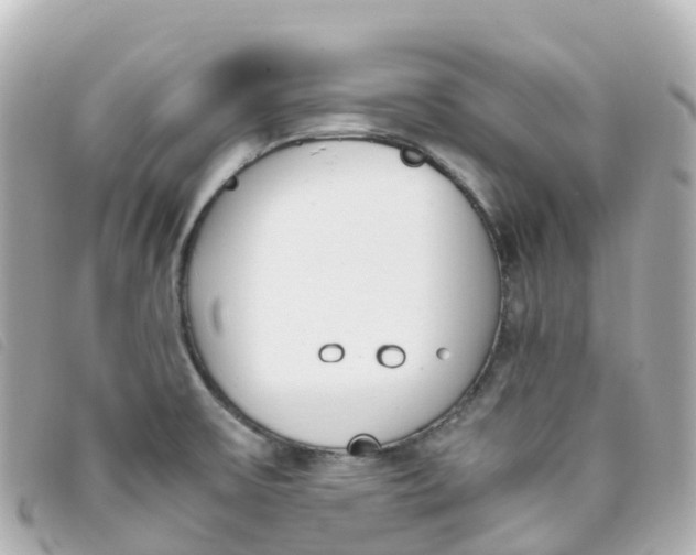 X0000093391475200710251229