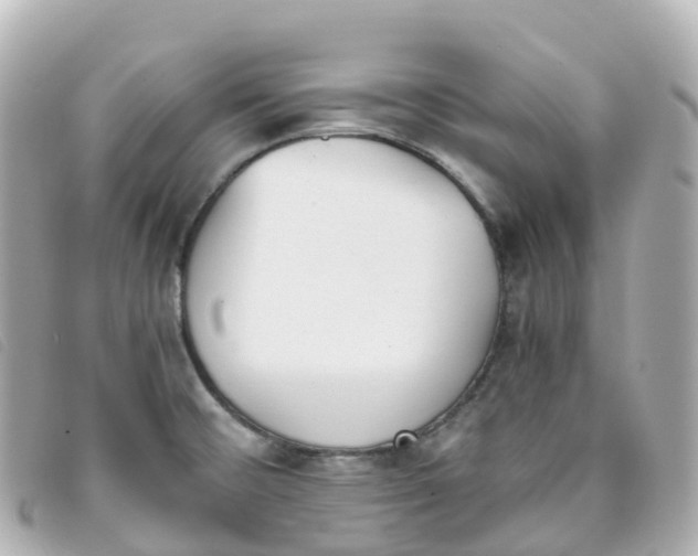 X0000093391476200710251229