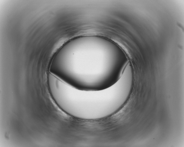 X0000093391477200710251229