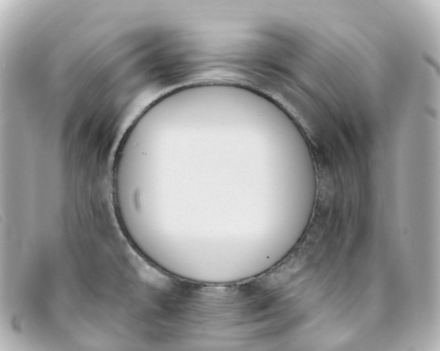 X0000093391478200710251229