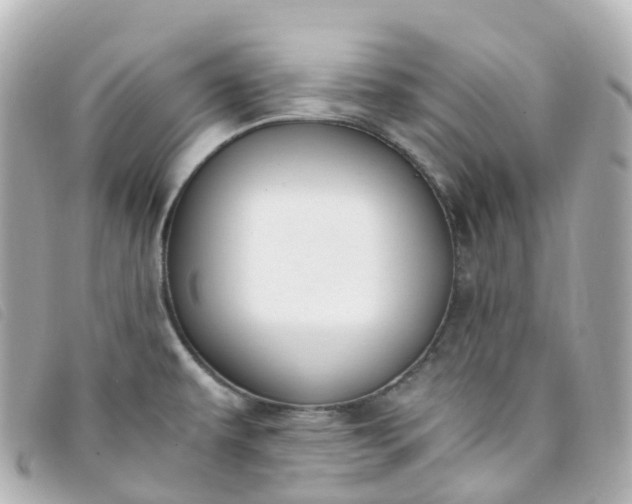 X0000093391479200710251229