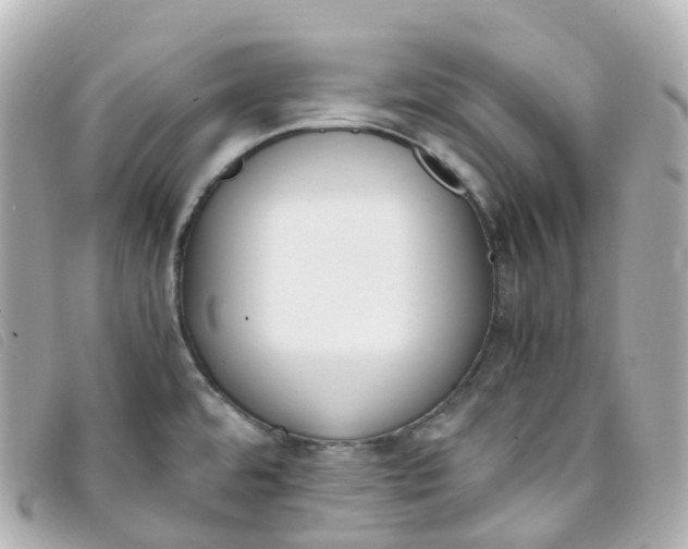 X0000093391480200710251229