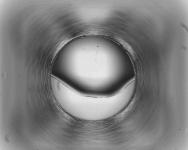 X0000093391481200710251229