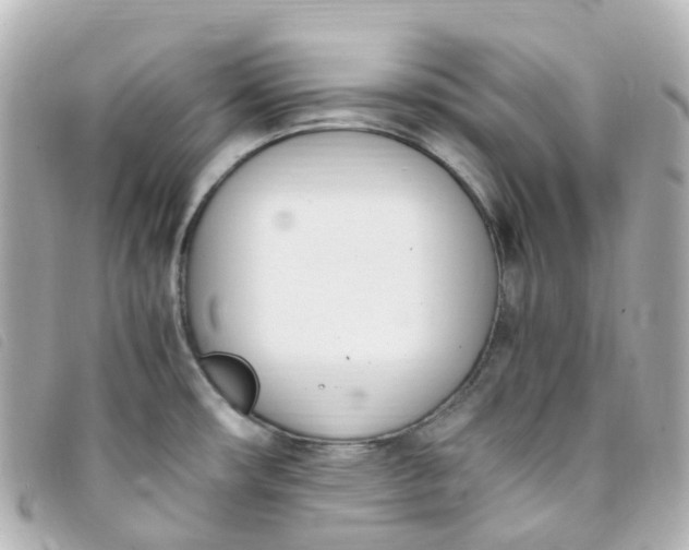 X0000093391482200710251229