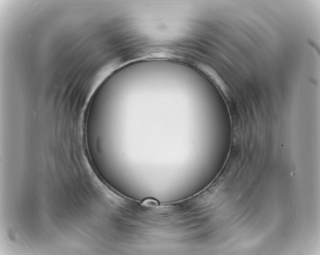 X0000093391483200710251229