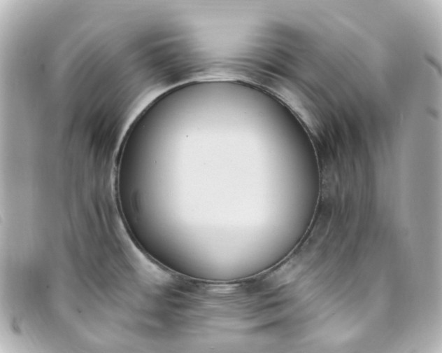 X0000093391484200710251229