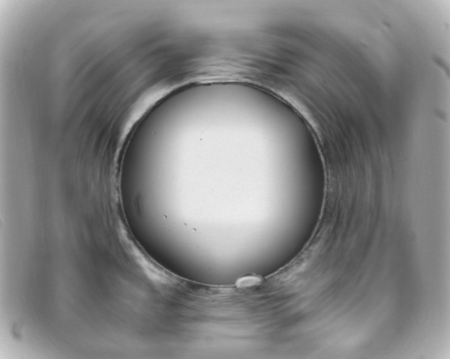 X0000093391485200710251229