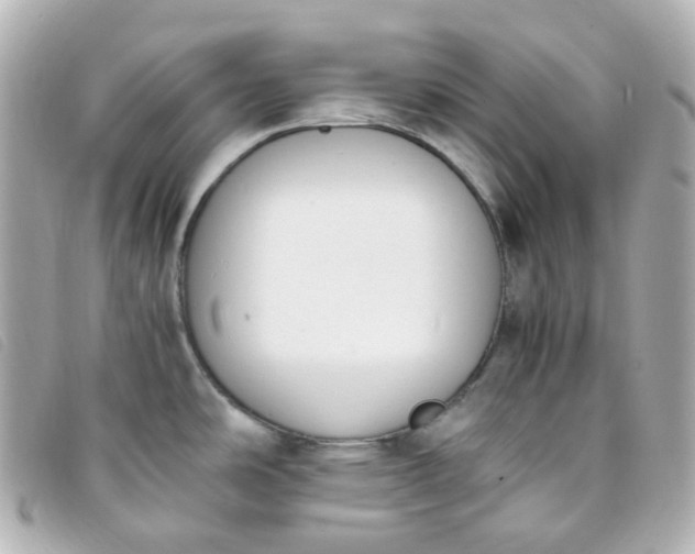 X0000093391486200710251229