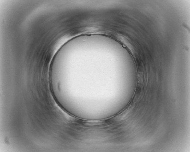 X0000093391487200710251229