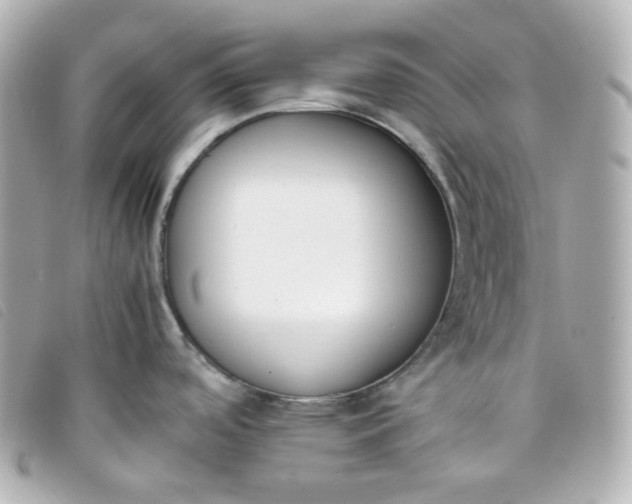 X0000093391488200710251229