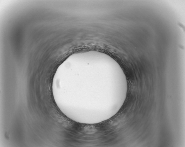 X0000093391489200710251229