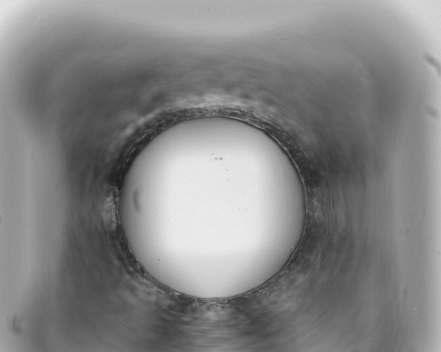 X0000093391493200710251229