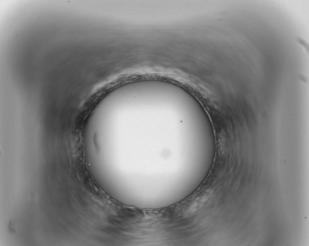 X0000093391494200710251229