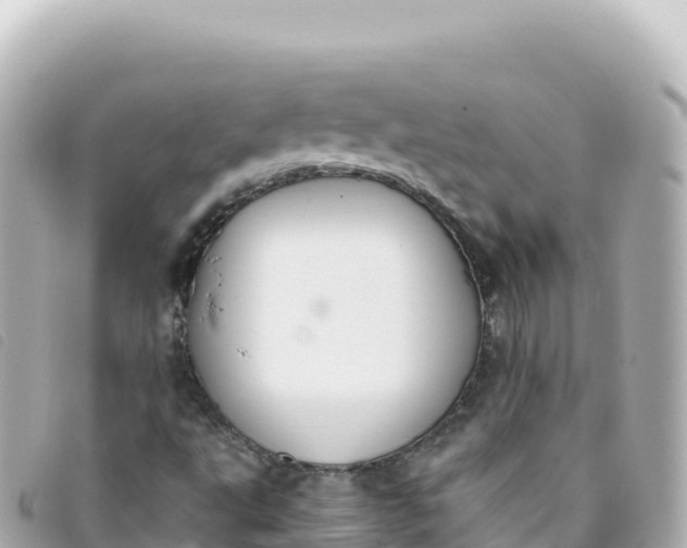 X0000093391495200710251229