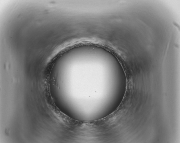 X0000093391496200710251229