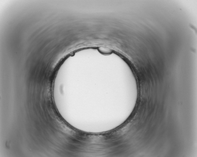 X0000093391498200710251229