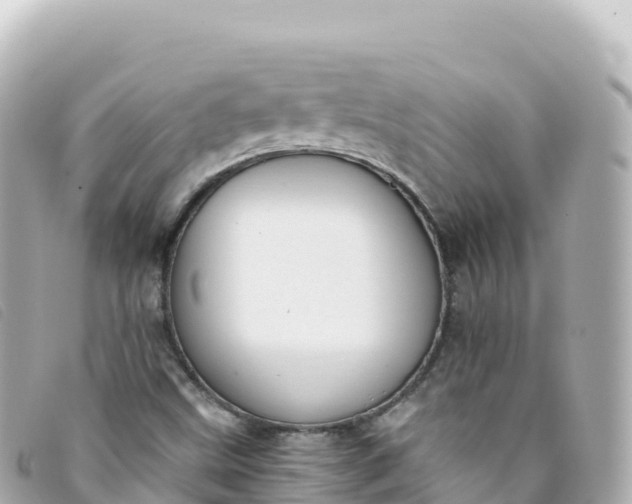 X0000093391499200710251229