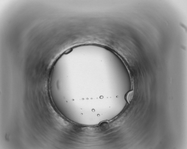 X0000093391500200710251229