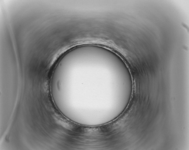 X0000093391501200710251229