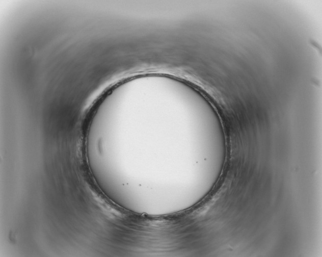 X0000093391502200710251229