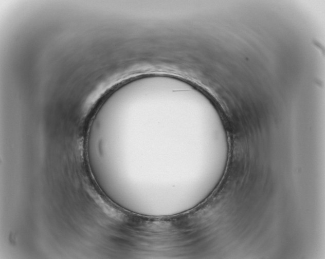 X0000093391503200710251229