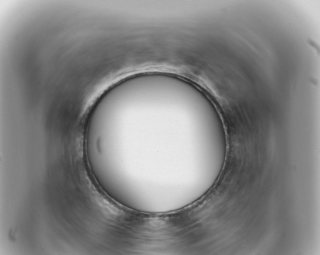 X0000093391504200710251229