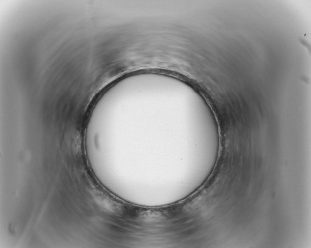 X0000093391505200710251229