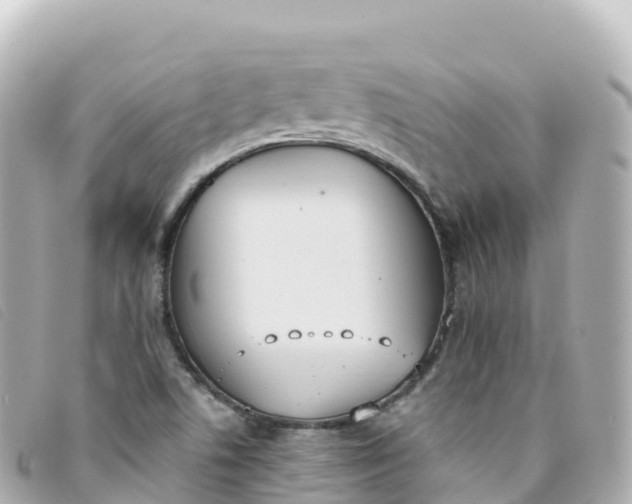 X0000093391506200710251229