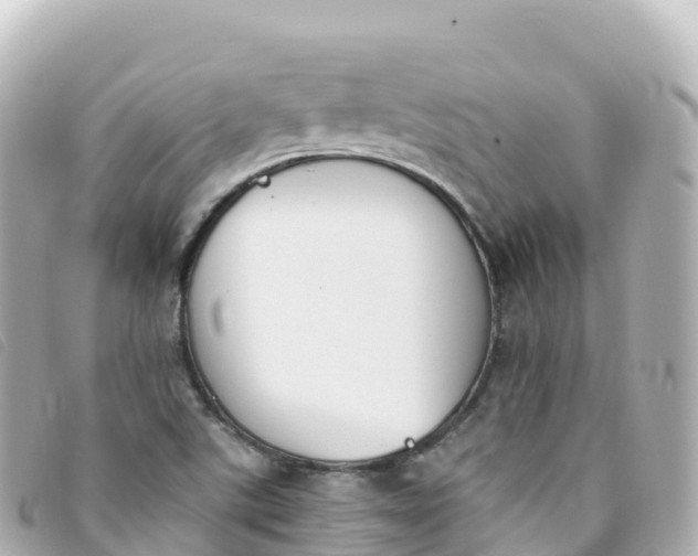 X0000093391507200710251229