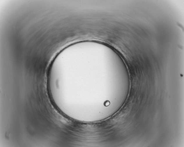 X0000093391508200710251229