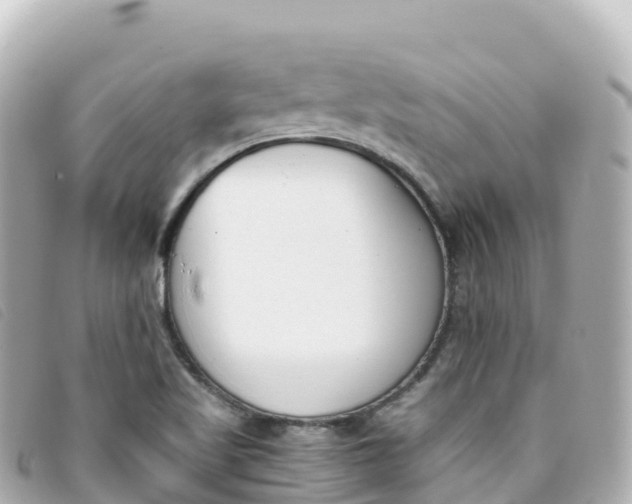 X0000093391509200710251229