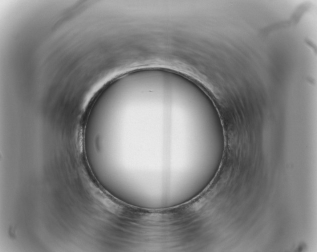 X0000093391510200710251229