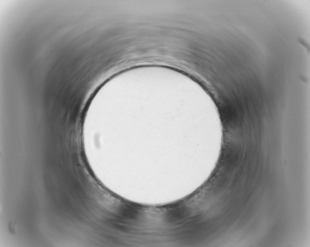 X0000093391514200710251229