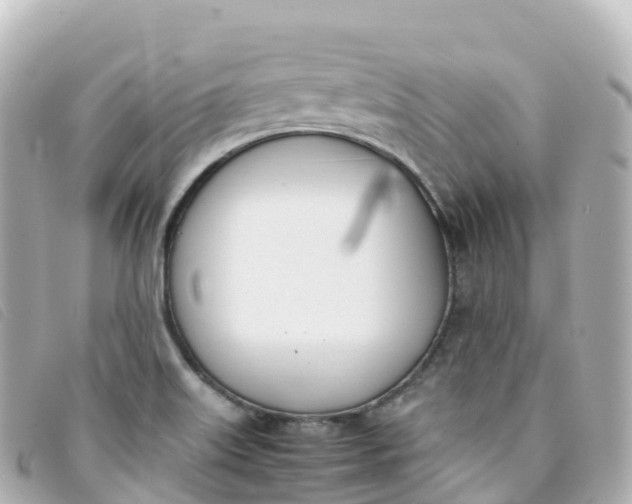 X0000093391515200710251229