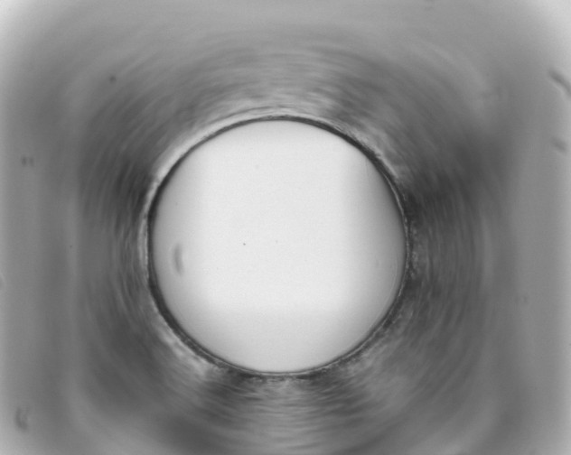 X0000093391516200710251229