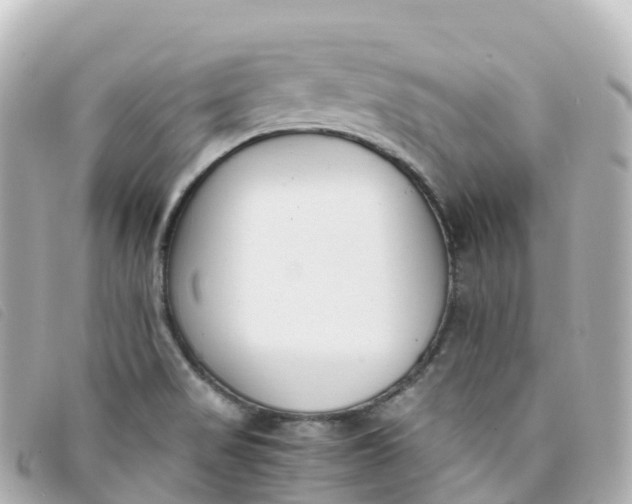 X0000093391517200710251229