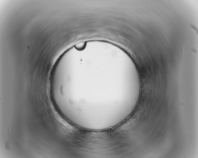 X0000093391518200710251229