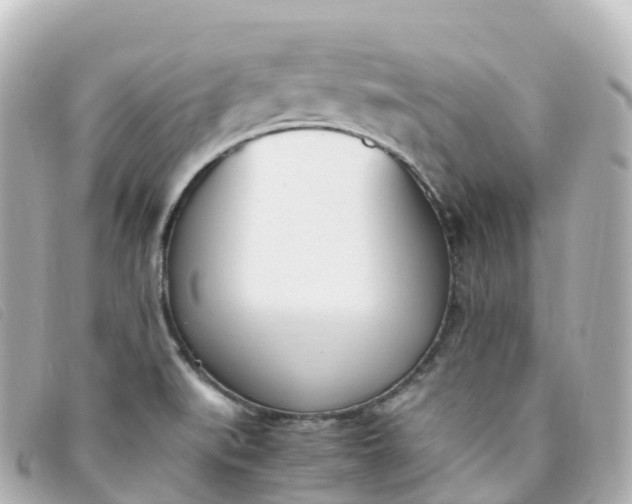 X0000093391519200710251229