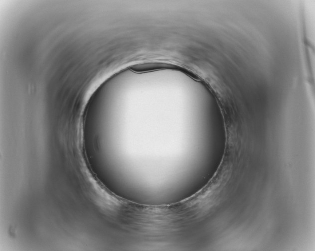 X0000093391520200710251229