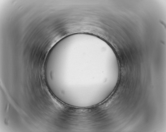 X0000093391521200710251229