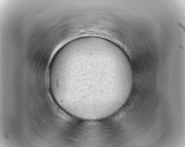 X0000093391522200710251229