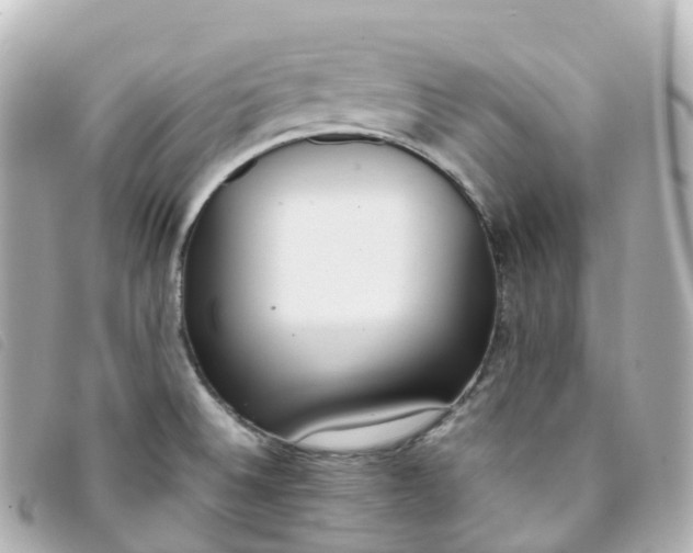 X0000093391524200710251229